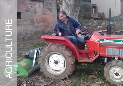 agriculture